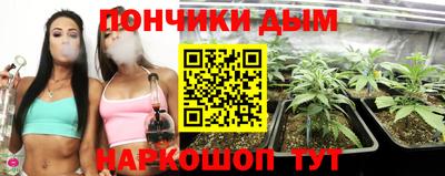 гидропоника Тверь