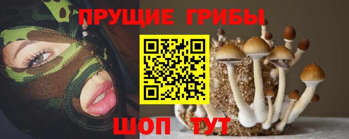Галлюциногенные грибы прущие грибы Мурманск