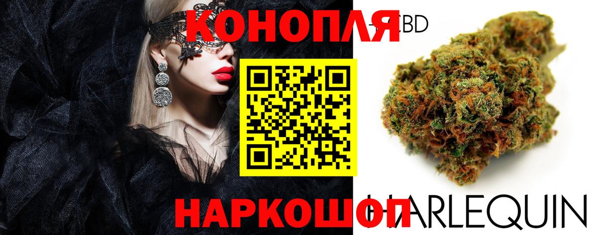 Каннабис семена Мурманск